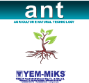 ANT-Yemmiks