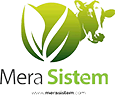 Merasistem