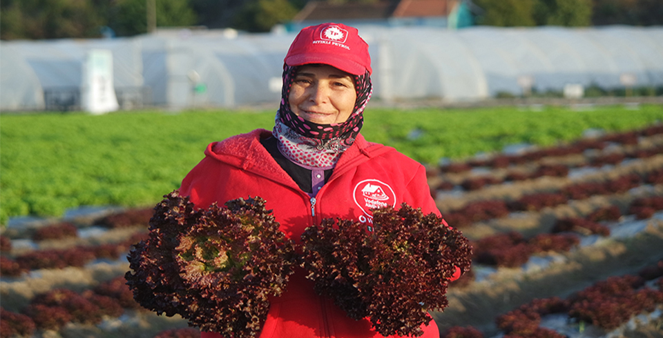 Yeni Sezonun İlk Hasadı Tuska ile Yapıldı